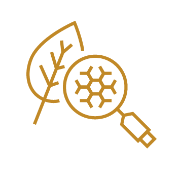 Science icon